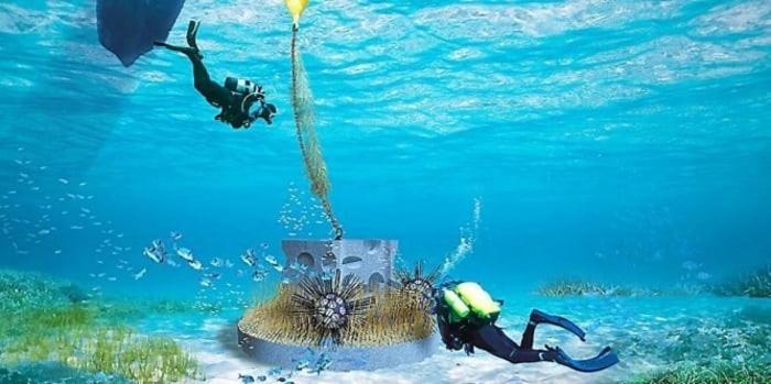 אגדה Cap To Sea Eureka A 200 M Centre Naturiste מראה חיצוני תמונה